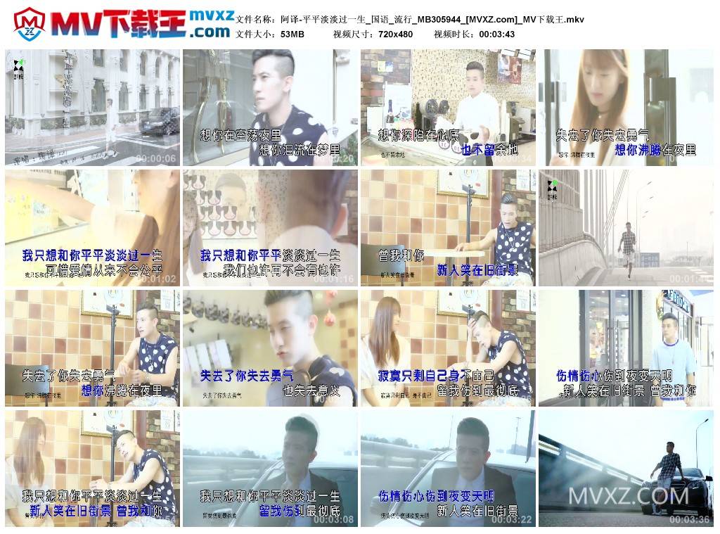 阿译-平平淡淡过一生_国语_流行_MB305944